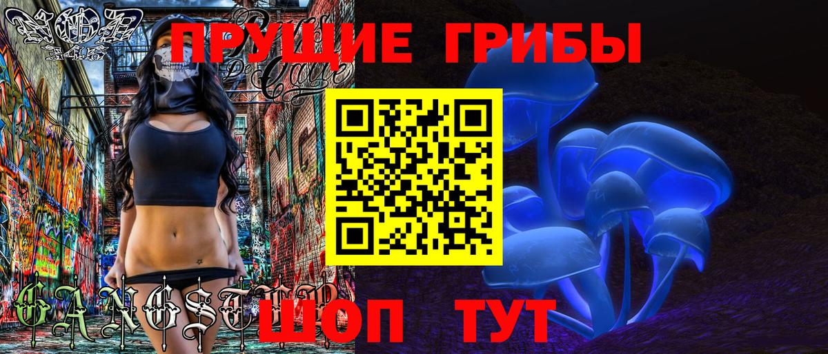 Галлюциногенные грибы прущие грибы  Вход с VPN  Новозыбков 