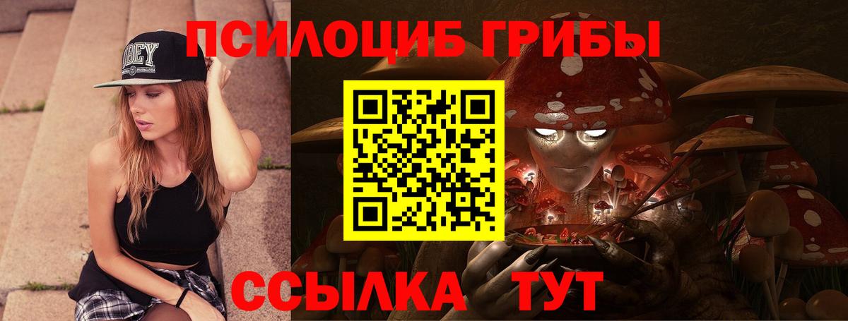 Псилоцибиновые грибы Psilocybine cubensis Новозыбков