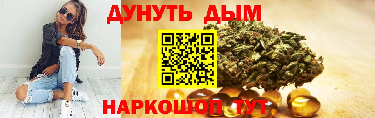 Шишки марихуана SATIVA & INDICA  Вход с VPN  Бошки марихуана тримм  Шишки марихуана SATIVA & INDICA  Новозыбков 